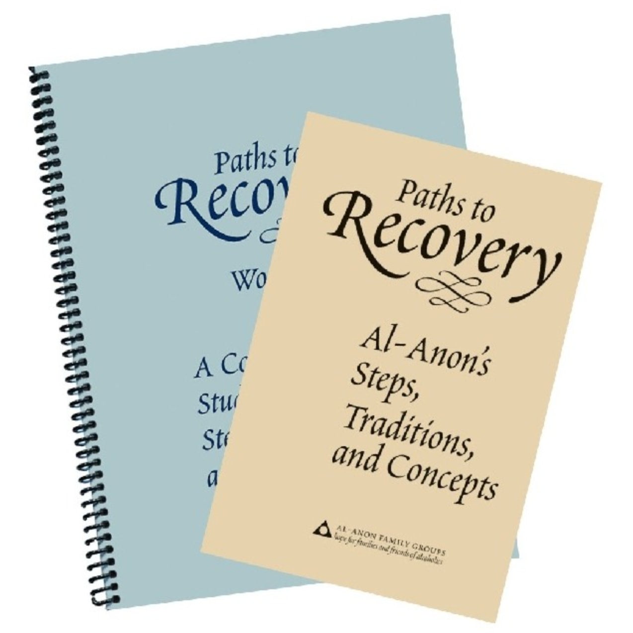 Paths To Recovery (B-24) And Paths To Recovery Workbook(P-93), (K-31 ...